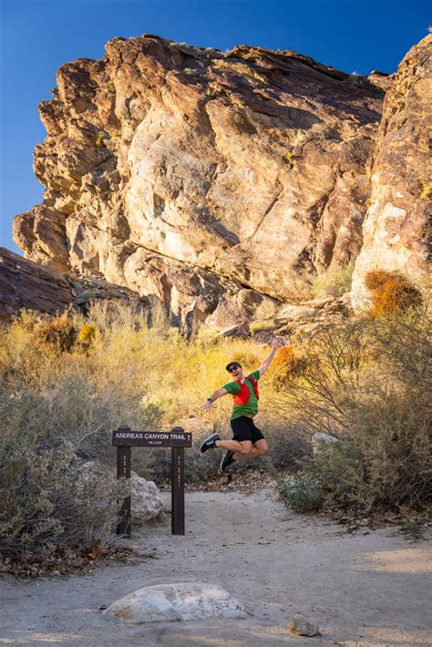 Our First run through the Andreas Canyon's trail : r/trailrunning