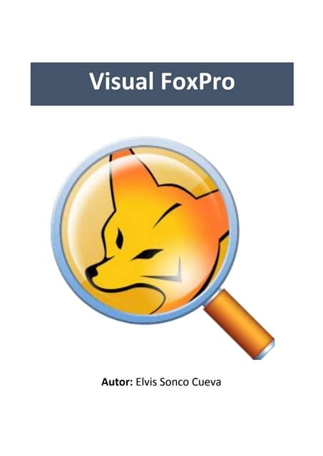 Image result for Visual Fox Videotutorial