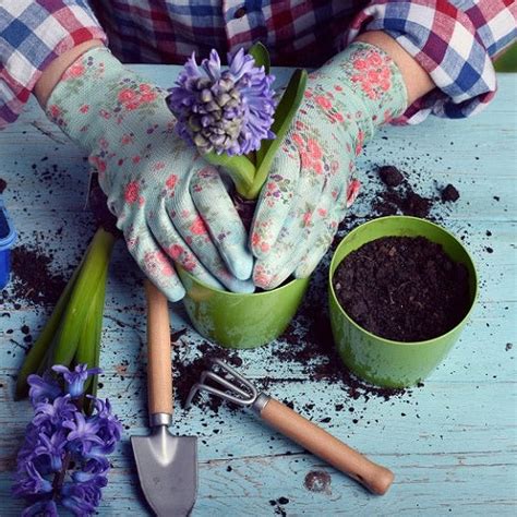 Ready to Use Organic Potting Soil Mix - 5kg For Home Gardening