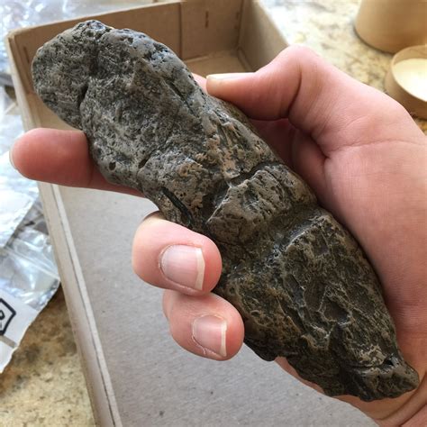 Largest Poop Record 的图像结果