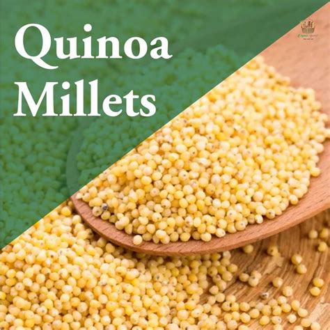 Quinoa Millets Online | Gluten-Free, Protein-Rich & High-Fiber ...