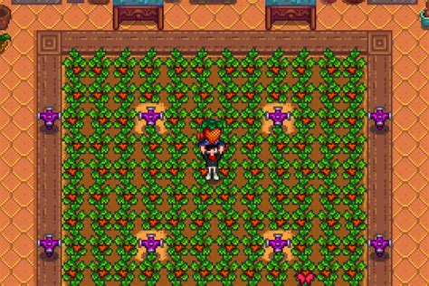 Stardew Valley Greenhouse: 16 Best Crops to Grow - Stardew Guide