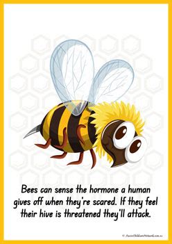 CBeebies Bees Fact File 的图像结果