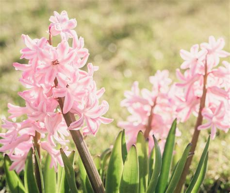 Draucker Funeral Home | Ogallala NE