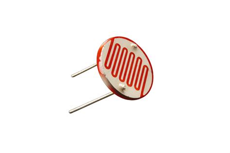 5mm LDR Sensor Light Dependent Resistor Sensor – NanoHertz Store