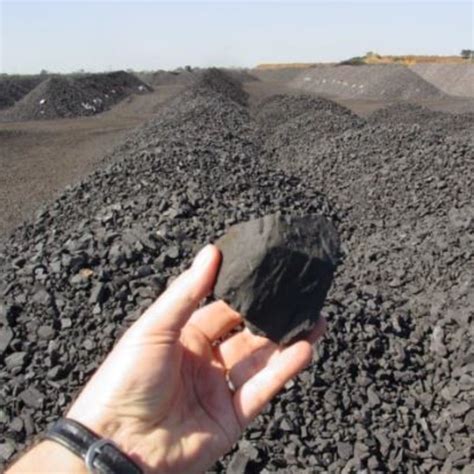 Food Waste Plant Sampling 的图像结果