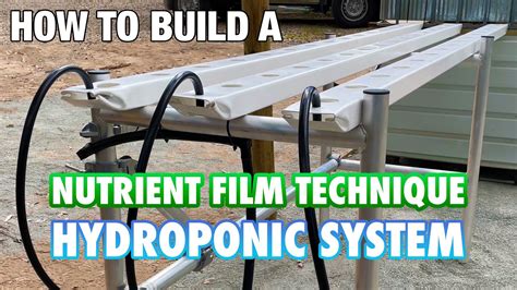 Build a NFT Hydroponic System Using 50Mm PVC 的图像结果