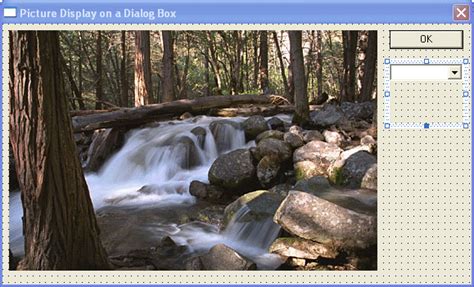 Image result for What Is Bitmap in Visual Studio Form