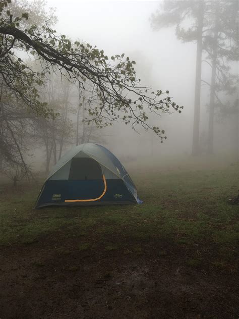 Camping in the Rain on Mount Laguna