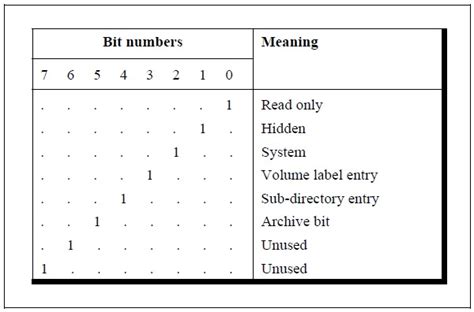 Image result for How Does a Not Bitwise Operator Work in C with Example