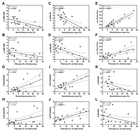Genetic Ablation of Ankrd1 Mitigates Cardiac Damage during Experimental ...