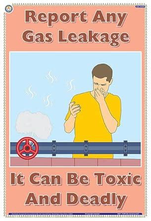Buy SCH03E | TeachingNest | Report any gas leakage. It can be toxic and ...