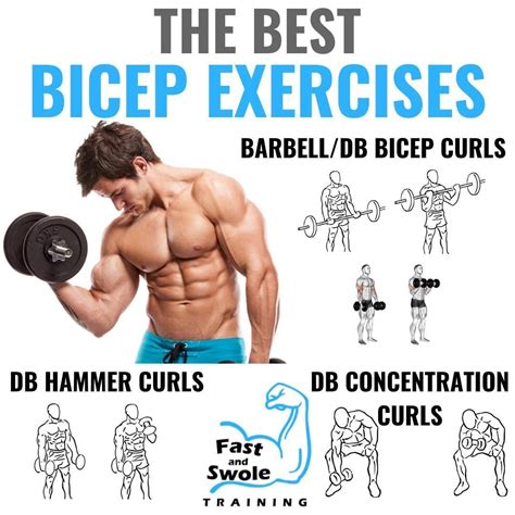 Easy Bicep Exercises No Equipment at Annie Ettinger blog