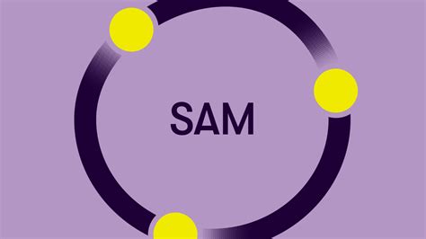 Image result for Introduction to Sam Model