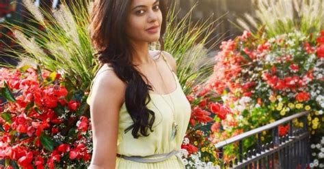 Death Hoax Busted: South Indian Actress Bindu Madhavi Killed in ...
