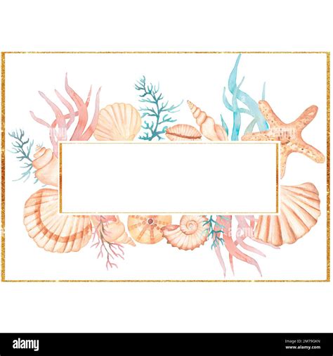 Seashell Border Clip Art