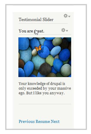 An Introduction to the Drupal Features Module | SoftDecoder