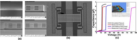 EIC-PEC hosted Workshop on Technology, Transfer, Startups and ...