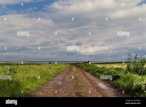 Path through Field 的图像结果
