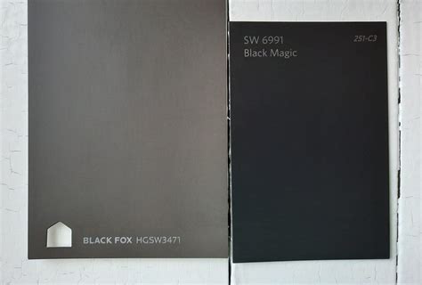 Black Fox Paint Color