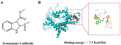 Potential Candidate Molecule of Photosystem II Inhibitor Herbicide ...