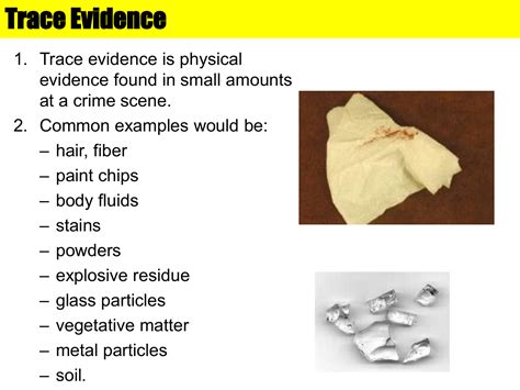 Evidence definition