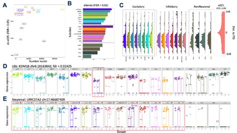 Image result for Cell Type Gene Expression