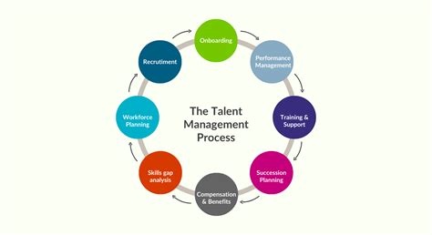 Talent Management 的图像结果