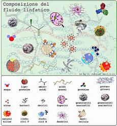 idraulica dispense idraulica circolatoria dispense medpop idraulica dispense idraulica circolatoria dispense medpop