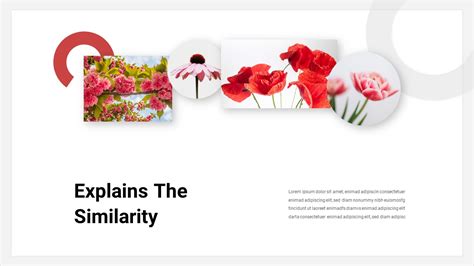 Image result for PowerPoint Early Spring