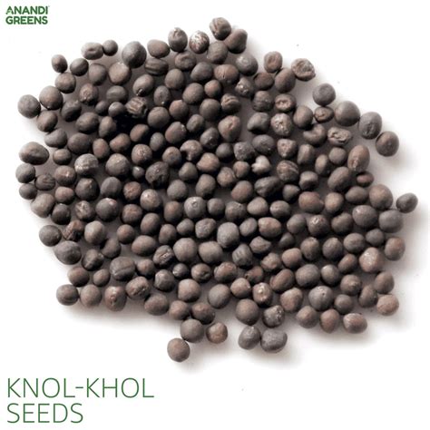 Buy Knol-Khol F-1 Hybrid Seeds Online | High Yield & Fresh — Anandi Green's