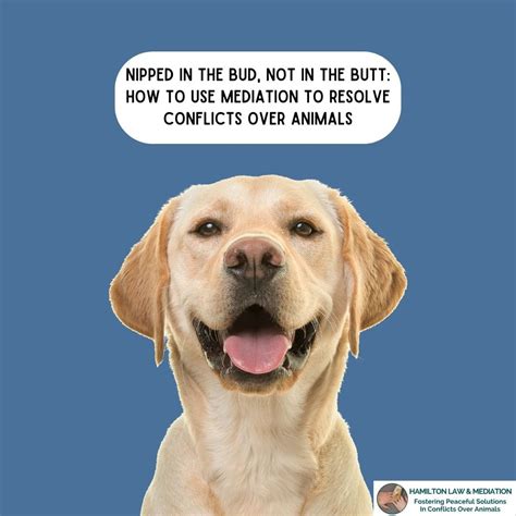 Nipped In The Bud-Not In The Butt - Debra Hamilton