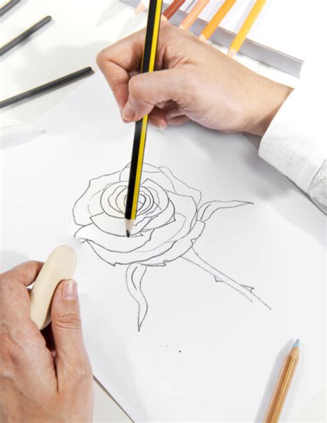 Image result for Rose Drawing Tutorial