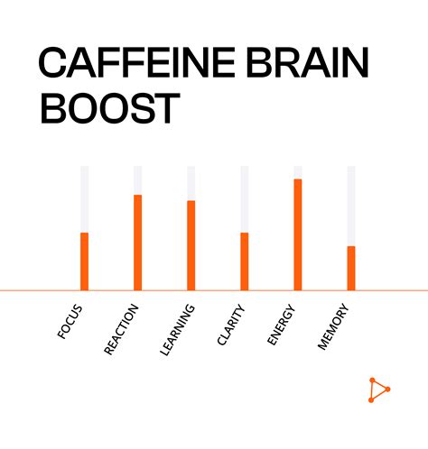 Coffee And Focus: 6 Effects Of Caffeine On The Brain | Vitalscend