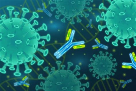科学家在COVID-19患者血液中发现了能最好地中和冠状病毒的抗体_手机新浪网