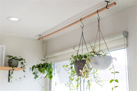 Suspended Ceiling Plant Hanger Clips | Shelly Lighting