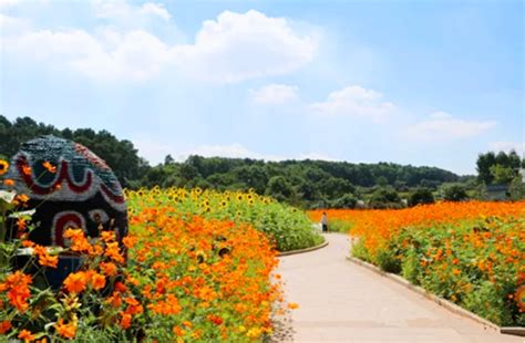 长沙秋日最美后花园 湖南省森林植物园与你花期有约-中国植物园联盟