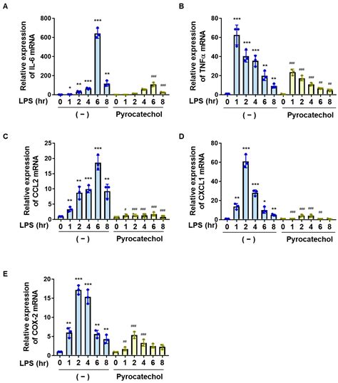Suppression of Neuroinflammation by Coffee Component Pyrocatechol via ...