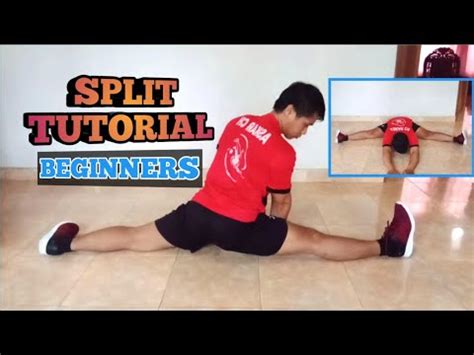 Split Tutorial 的图像结果