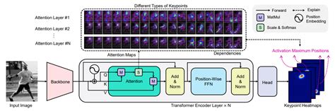 Key Lab Transpose 的图像结果