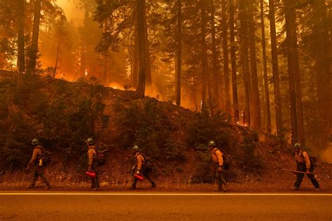 In pictures: California's Park Fire reawakens and grows - August 8 ...
