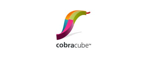 Colorful Logo Design 的图像结果