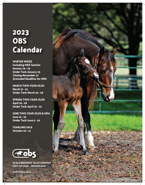 The Florida Horse - 2023 Stallion Register by Florida Equine Communications - Issuu