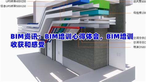 bim心得体会3000字范文 - 百度文库