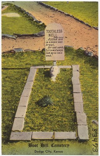 Image result for Toothless Homeless