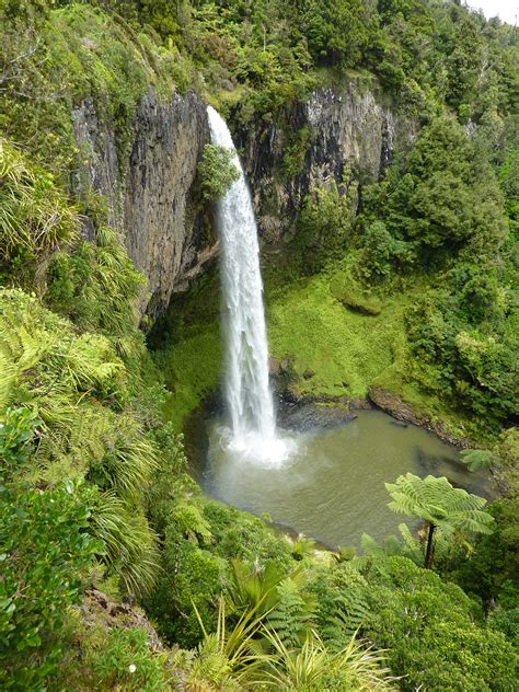 Bridal Veil Falls - Walking Trails - Hamilton & Waikato