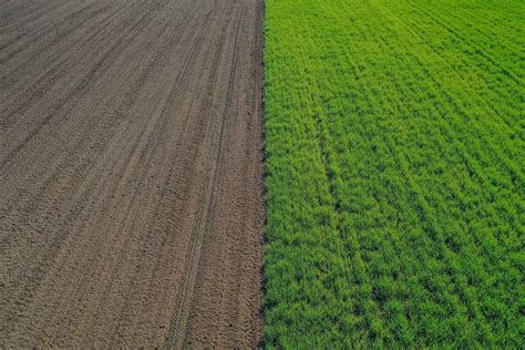 SDAU Rural Business Incubation Centre