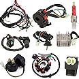 Complete Electric Wiring Harness Kit ATV Wire for GY6 150cc 125cc ...