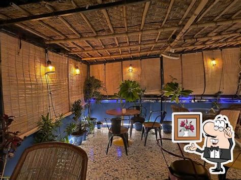 Blue Bird Cafe & Restaurant, Jodhpur - Restaurant menu, prices and reviews