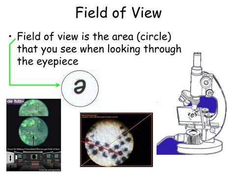 Field of View Microscope 的图像结果